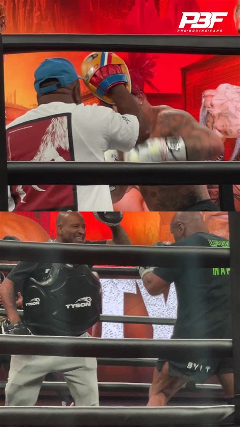 Pro Boxing Fans Reels .